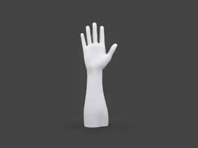 HAND-026 Wooden hand Low-poly 3D model