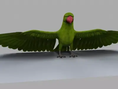 Green Parrot 3D model purchase