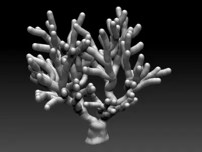 Coral tree Free 3D print model