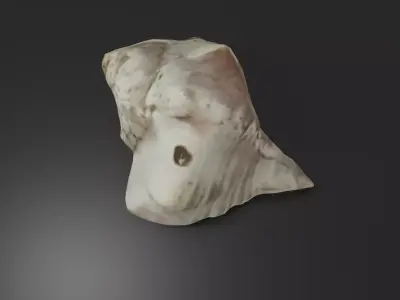 Photoscanned low poly sea shell Free low-poly 3D model