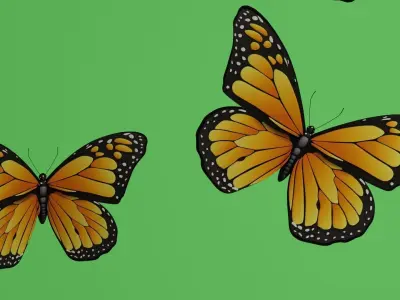 butterflies monarch butterfly Low-poly 3D model
