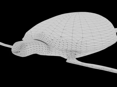 Sea Turtle 3D model buy