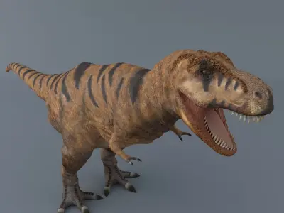  Tyrannosaurus Rex 3D model