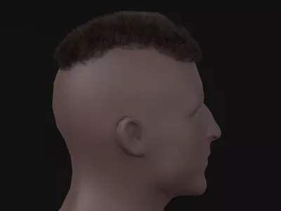7Man buzzcut  Hair Low-poly 3D model