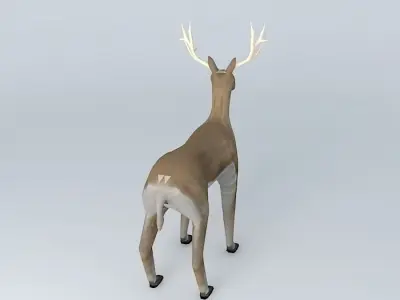 Deer with rack Free 3D model