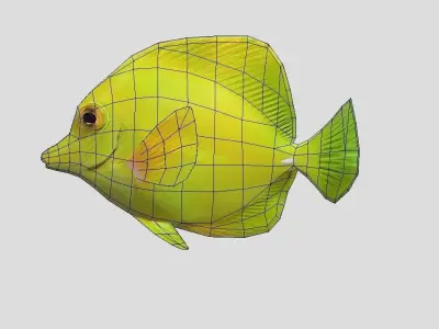yellow tang Realistic Animated Low-poly 3D model purchase