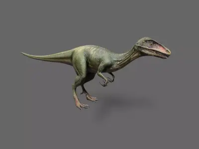 Dinosaurs Pack 5 Low-poly 3D model
