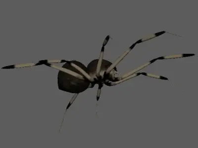 Spider Brown Widow 3D model