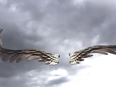 Serafim Wings 5  3D model