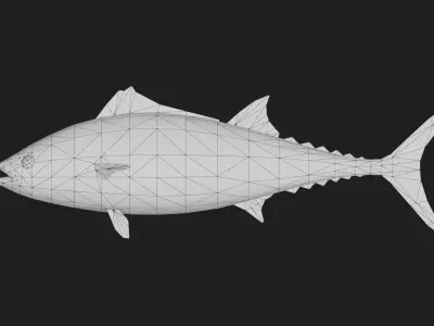 Tuna fish Low-poly 3D model 2