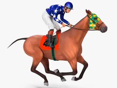 Bay Racing Horse with Jokey Gallop  purchase 3D model