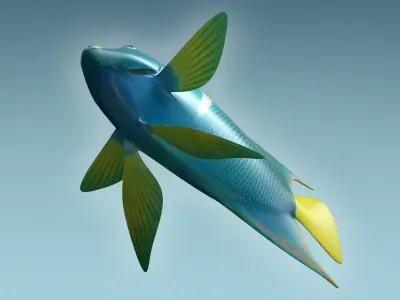Anglefish 5 angelfish 3D model