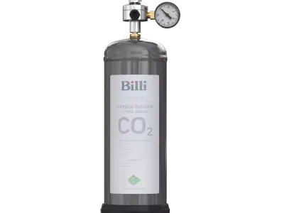 Carbon dioxide balloon CO2 3D model