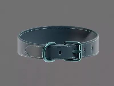 Dog Collar  Low-poly 3D model purchase