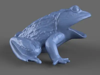 Frog Toy 3D model