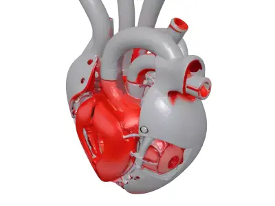 Futuristic Cybernetic Heart 3D Model 3D model