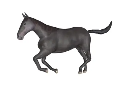 Black Horse Low-poly 3D model