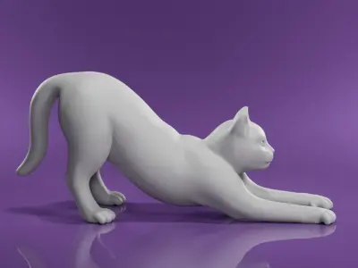 Cat for 3d print Free 3D print model