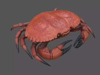 Crab Big Red  Low-poly 3D model