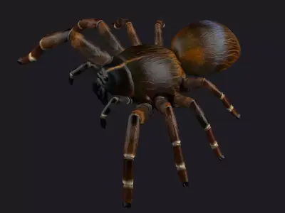 spider walking creepy tarantula attack idle game horror 3D model