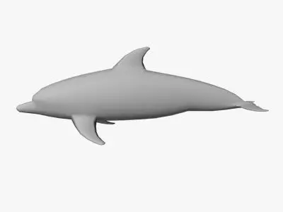 Low Poly Dolphin Low-poly 3D model buy