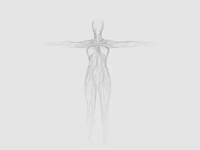 Abstract Female T Pose Mesh and  Animated Mesh 3D model