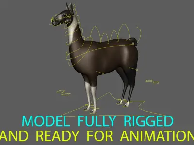 Llama 3D model