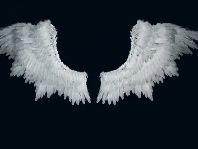 Wings Low-poly 3D model