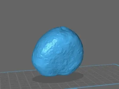 Cretaceous Echinoid Macraster complete Free 3D print model