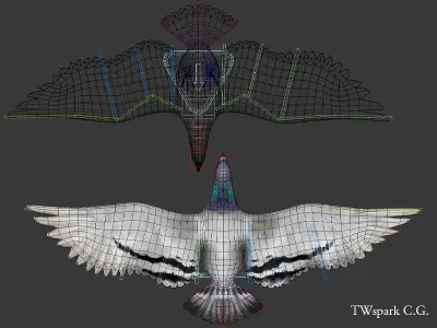 Pigeon Rigged Low-poly 3D model