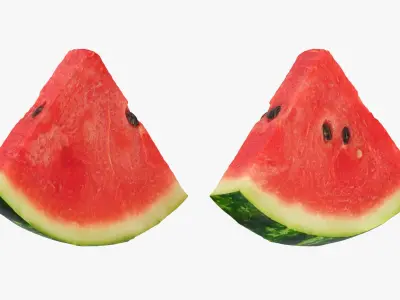 Watermelon Slice Collection 3D model