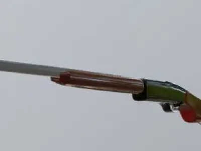 3d model of drobovik gun 3D model