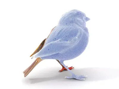 Vivid Sparrow Bird model pack Low-poly 3D model