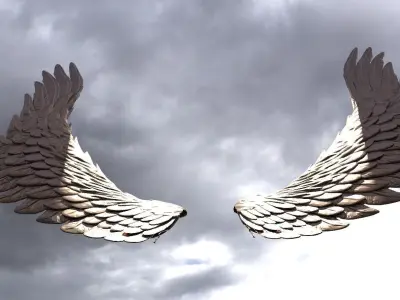 Serafim Wings 6 3D model