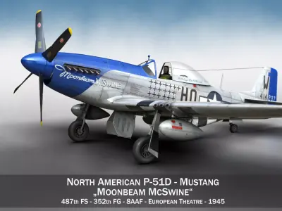 North American P-51D Mustang - Moonbeam McSwine 3D model