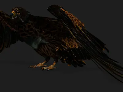 Eagle A5 3D model