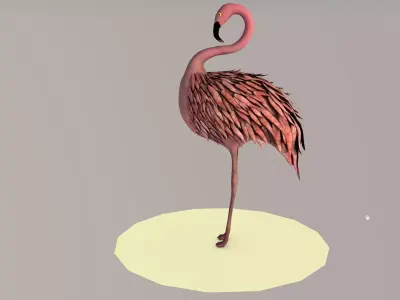 Flamingo 3D model order