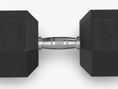 Rubber Dumbbell 30kg 3D model