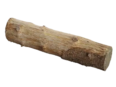  Small Cut Bare Log Model 