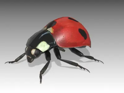 Ladybug Animated Low-poly 3D model
