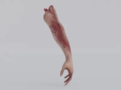Accident hand Low-poly 3D model
