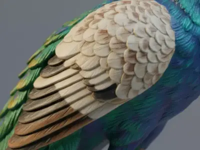 Realistic Peacock Bird  Iridescent Feathers PBR Game Ready Low-poly 3D model