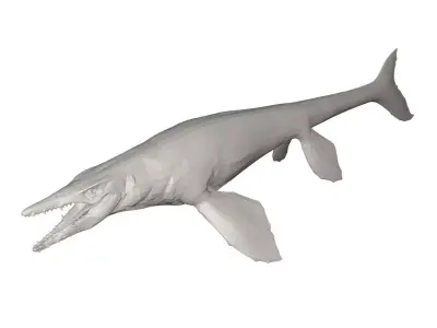 Dinosaur whale 3D model