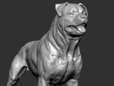 Rottweiler Dog VFX Zbrush Sculpt 3D model