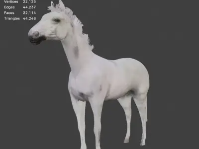 White Horse Free 3D model