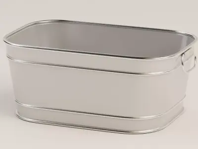 Beverage Bucket 3D model