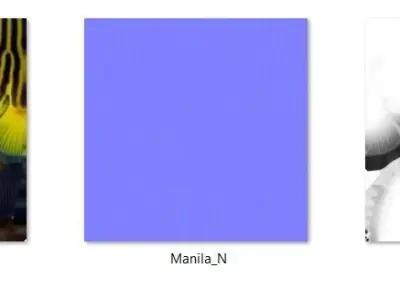 Manila Fish Low-poly 3D model