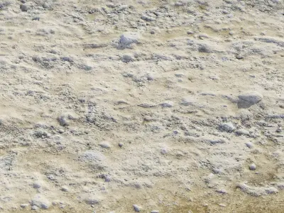 Road 3d scan 3D model