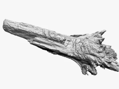 3D Tree trunk Zbrush sculpt 3D model