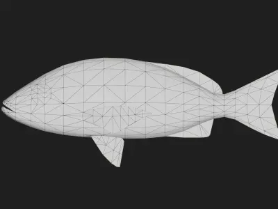 Snapper Low-poly 3D model 18